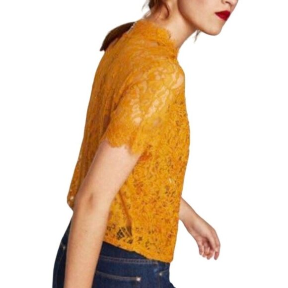 SOLD Zara Mustard Yellow Sheer Lace Short Sleeve Blouse Top SZ Medium - Picture 2 of 9